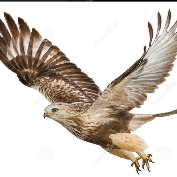 Many prom/ Evening Gowns and accessories available - Picture 14 of 16